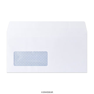 DL White Envelope (110 x 220mm)