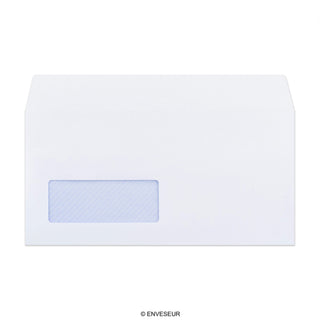 DL White Envelope (110 x 220mm)