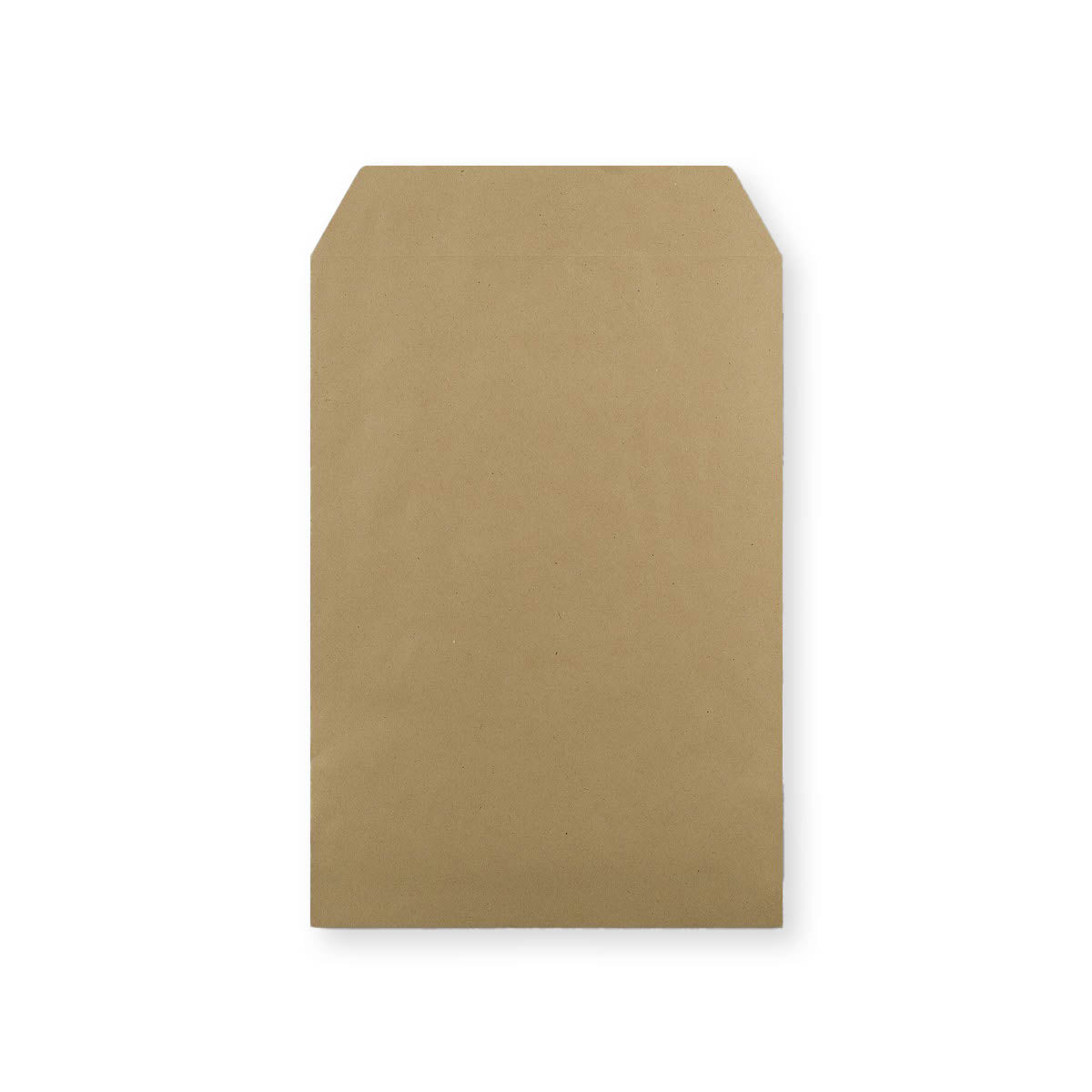 C4 Manila Brown Envelope (324 x 229mm)