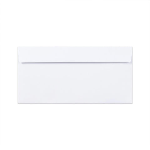 DL White Envelope (110 x 220mm)