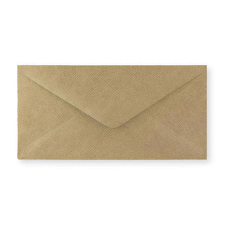 DL Fleck Gummed V-Flap Envelope (110 x 220mm)