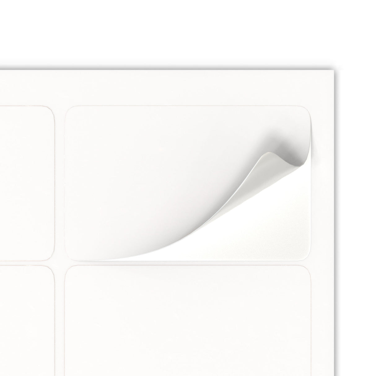 Rectangle Adhesive Labels