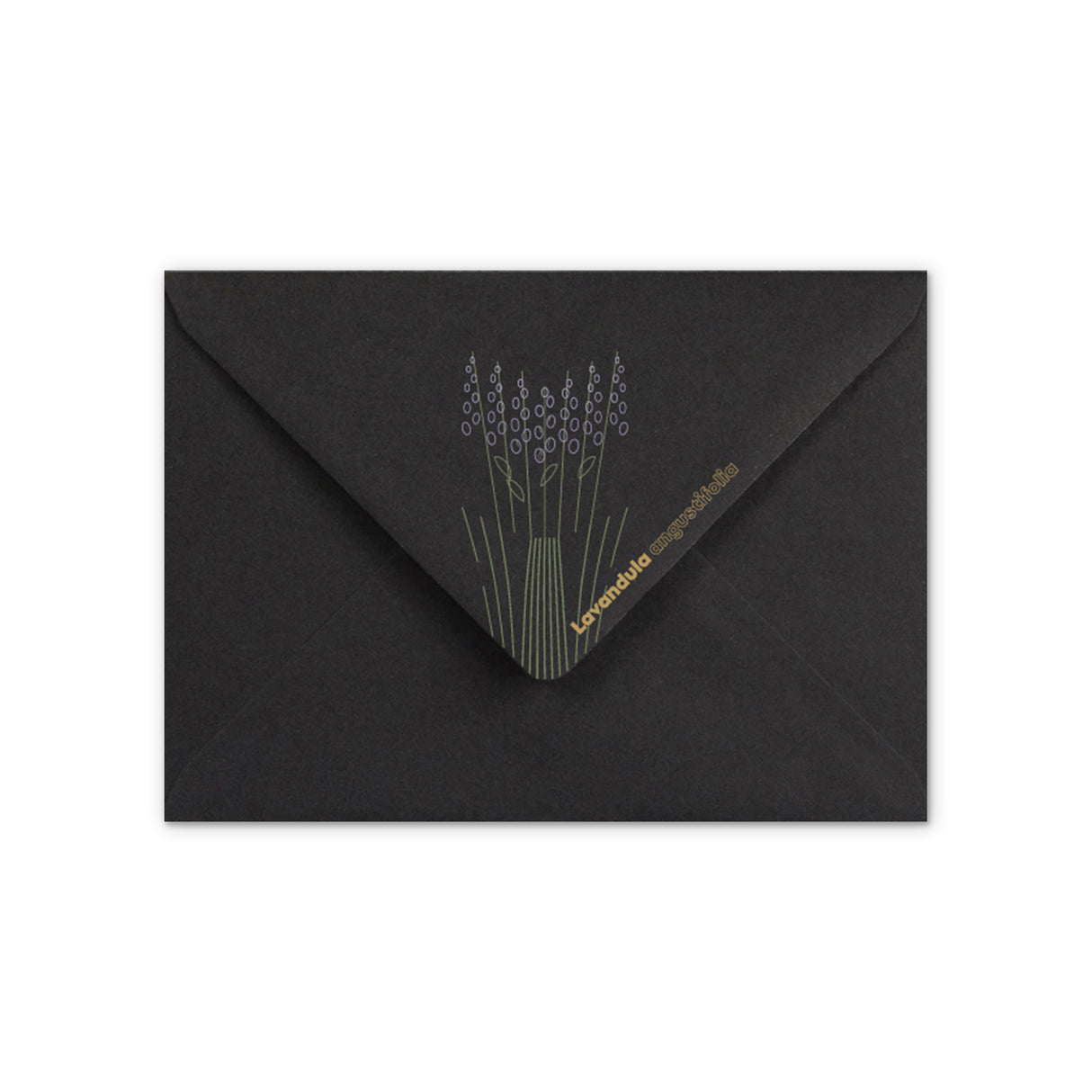 Envelope Lavender design