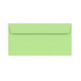 DL Pale Green Peel & Seal Envelope (110 x 220mm)